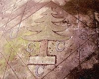 Inlaid CCC emblem of cut-stone floor of the shelter.