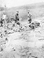 Unidentified Camp Harrison men at work on a local farm, breaking up rock to make